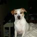 Jerry Sullins - Facebook