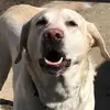 Jerry Sumner - @jerry.sumner - TikTok