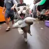 Jerry. Sumner Paricanaza - @jerry.sumnerpariyan - TikTok
