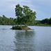 Gerald Sundquist - Facebook