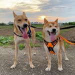 Jerry Sung - @jerrysung39 - Instagram