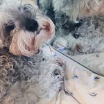 Jerry Sung - @jerry.sung614 - Instagram