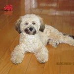 Jerry Sung - @jerrysung202 - Instagram