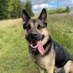 Jerry Suttle - @littlejerrysuttle - Instagram