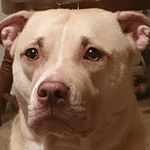 Jerry Swift - @jerry.swift.14 - Instagram