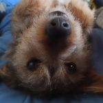 Jerrys HeyWordl - @myjerrysword - Instagram