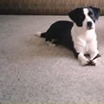 Jerry Szewczyk - @szewczykjerry - Instagram
