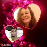 Jerry Tabby - @tabbyjerry - Instagram