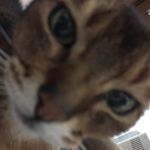 jerry_taffy - @jerry_taffy - Instagram