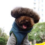 @jerrytaffy - Instagram