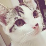 Lily - @17_taffy_jerry - Instagram