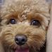 Jerry Tam - Facebook
