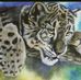 Jeri Tarver - Facebook