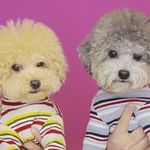 쩰♥️톨 - @jerry._.thor - Instagram