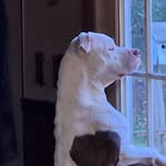 Jerry Till - @jerry.till.716 - Instagram