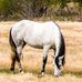 Jerry Tillery - Facebook