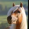 Jerry Tilton - @jerrytilton340 - TikTok