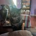 Jerry Tindle - Facebook