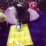 Jerry And Stinker Magill - @jerrystinker - Instagram
