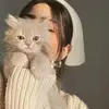 Jerry Tom🐈 - @jerrytom090 - TikTok