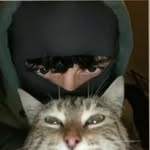 Jèrry Tom - @zayn____tox_ - Instagram