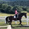 Jeri Jones Touchstone - @jeri.touchstone - TikTok