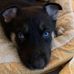Jerry Towne - Facebook