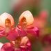Jerry Towne - Facebook