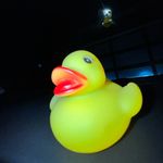 Jerry Towns lll - @jerrytheduckosu - Instagram