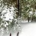 Jerry Jay Jolly Trail - Facebook