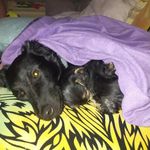 Leonor Gomez Pastor - @levi_vini_jerry_true_love - Instagram