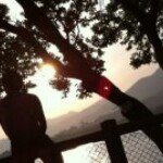 Jerry Tse - @jerryttm - Instagram