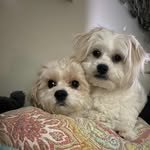 Jerry Allen Tuell - @jerrytuell - Instagram