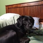 Jerry Tuel - @jerry.tuel.77 - Instagram
