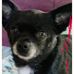 Jerry Tulk - Facebook