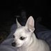 Jerry Tullis - Facebook