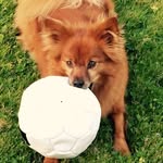 Gerry Tully - @tully.gerry218 - Instagram