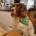 Gerald Tunstall - Facebook