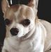Jeri Turnbow - Facebook