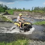 Jerry Tutor - @zebra.1670382 - Instagram