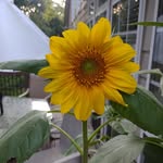 Jerry - @jerry_tuttle28 - Instagram