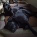 Jerry Tutt - Facebook