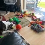 JerryKaren Twigg - @jerrykarentwigg - Instagram