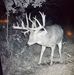 Jerry Ulm - Facebook