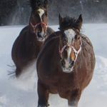 Jerry Underhill - @jerryunderhill50 - Instagram