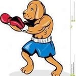 Jerry VanHoose - @vanhoosej821 - Instagram