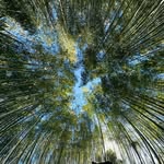 Jerry van meter - @jer0104 - Instagram