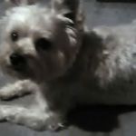 jerry vasser - @vasserjerry - Instagram