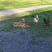 Jerry Vest - Facebook