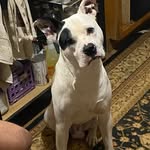 Jerry Vining - @jerryvining - Instagram
